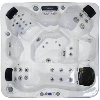 Avalon EC-849L hot tubs for sale in Farmingdale
