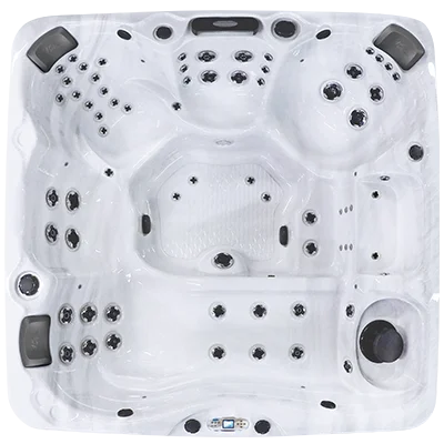 Avalon EC-867L hot tubs for sale in Farmingdale