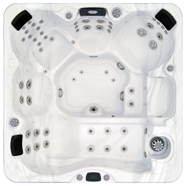Avalon-X EC-867LX hot tubs for sale in Farmingdale