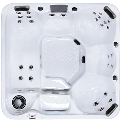 Hawaiian Plus PPZ-634L hot tubs for sale in Farmingdale