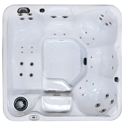 Hawaiian PZ-636L hot tubs for sale in Farmingdale